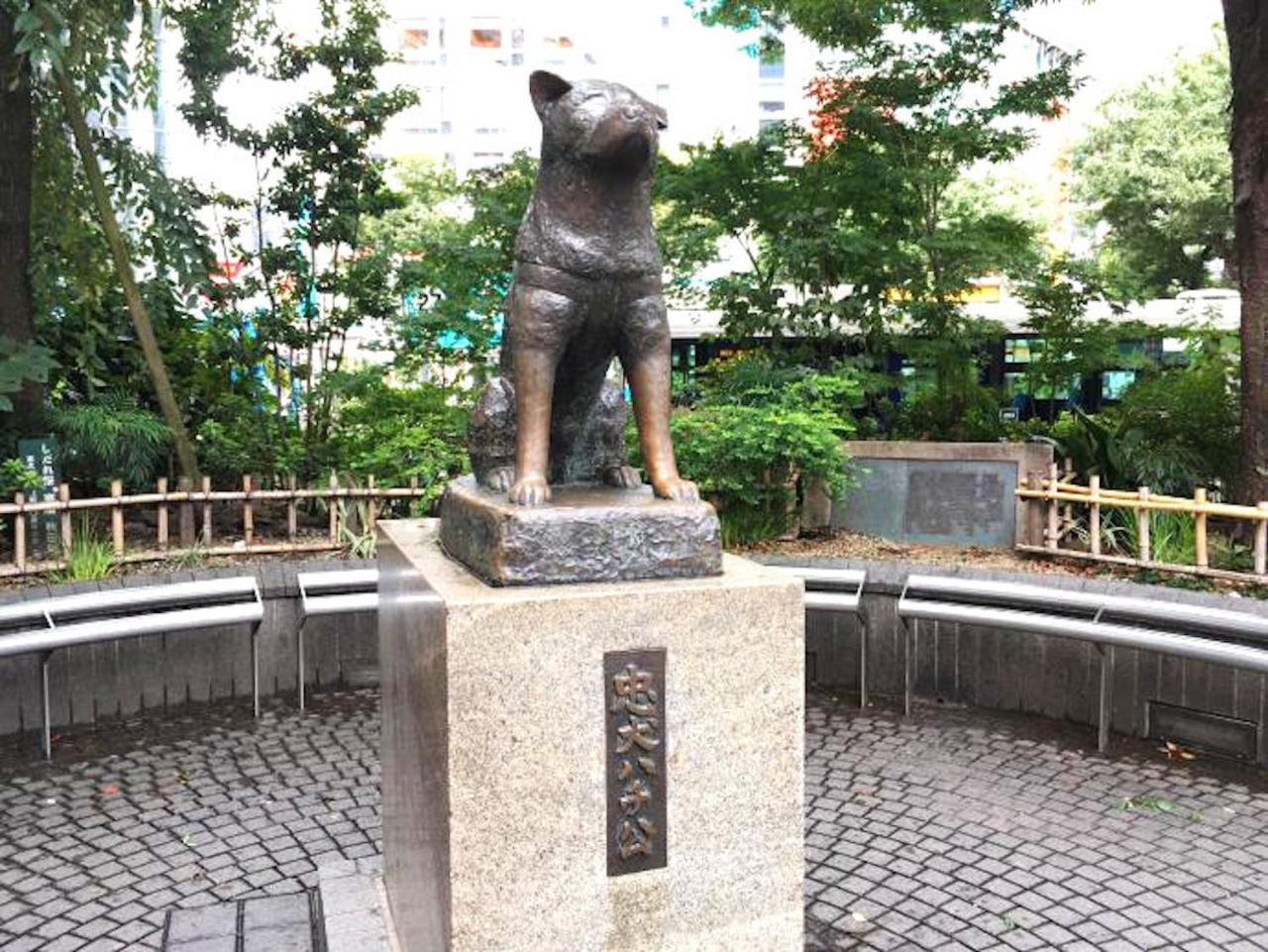 Shibuya Anon #a203 Apartment Präfektur Tokio
